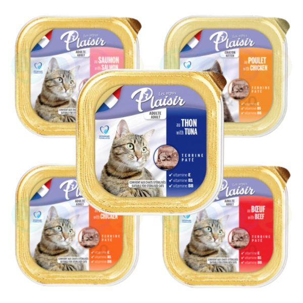 Plaisire /P32