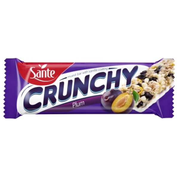 Crunchy bar with plums /P25